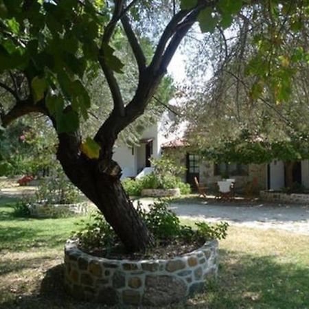 Traditionelles Appartement Athos Shadow Am Meer Paralia Sikias Экстерьер фото