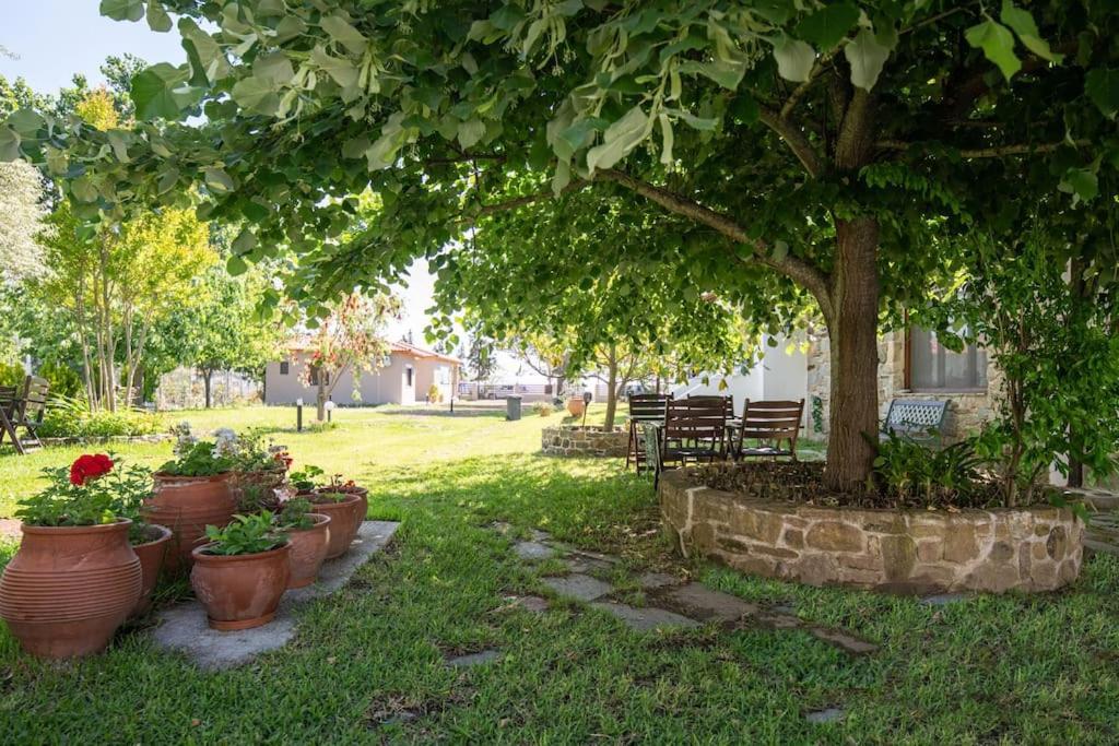 Traditionelles Appartement Athos Shadow Am Meer Paralia Sikias Экстерьер фото