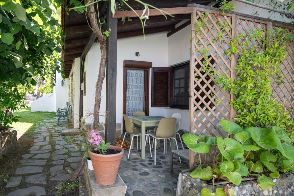 Traditionelles Appartement Athos Shadow Am Meer Paralia Sikias Экстерьер фото